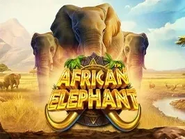 African Elephant™